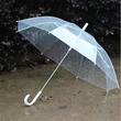 چتر شفاف